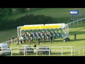 Video preview image for Goodwood 19:40 - Sussex Roof Garden Handicap