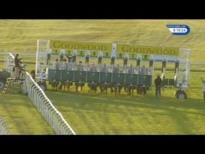 Video preview image for Goodwood 20:15 - Lady's Newspaper Handicap
