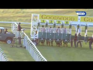 Video preview image for Goodwood 20:45 - Sigma Maiden Stakes