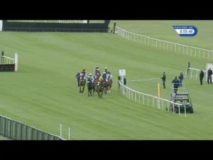 Video preview image for Aintree 20:55 - Thoroughbred Breeders' Association Mares' Handicap Hurdle