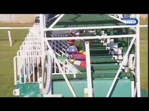 Video preview image for Leicester 19:10 - H.A.C. Pipeline Supplies Handicap