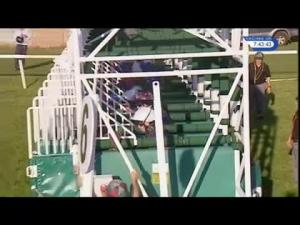 Video preview image for Leicester 19:40 - British Stallion Studs EBF Fillies' Novice Stakes (Plus 10)