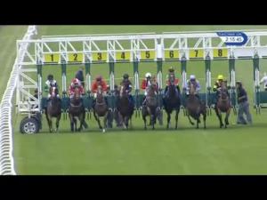 Video preview image for Salisbury 14:15 - Derek Burridge Golf & Racing Trophies Handicap