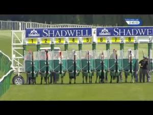 Video preview image for Salisbury 14:45 - Think Cars Ssangyong Paddock Area Display Handicap