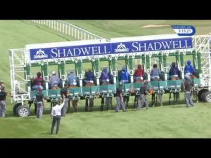 Video preview image for Salisbury 15:15 - Wateraid Mildren Construction Maiden Fillies' Stakes (Plus 10)