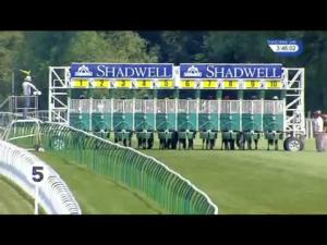 Video preview image for Salisbury 15:45 - British Stallion Studs EBF Cathedral Stakes (Listed)
