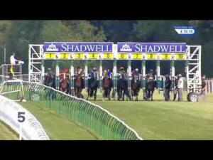 Video preview image for Salisbury 16:15 - Toby Balding Memorial Novice Stakes (Plus 10)