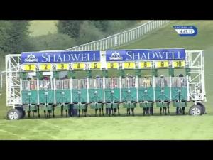 Video preview image for Salisbury 16:45 - Cara Glass Fillies' Handicap
