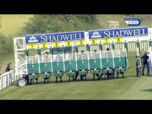 Video preview image for Salisbury 17:15 - Shadwell Stud Racing Excellence Apprentice Handicap (Whips Can Be Carried But Not Used)