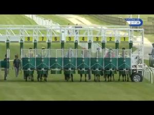 Video preview image for Wetherby 14:15 - Watch Racing UK With Free Trial Now Novice Median Auction Stakes