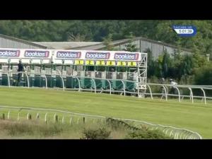 Video preview image for Carlisle 17:00 - Watch Racing UK On 3 Devices Handicap