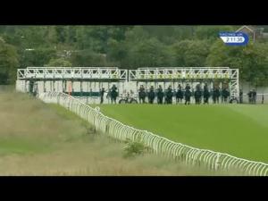 Video preview image for Thirsk 14:10 - British Stallion Studs EBF Fillies' Novice Stakes (Plus 10)