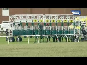Video preview image for Thirsk 15:20 - EBF Stallions Breeding Winners Maiden Stakes