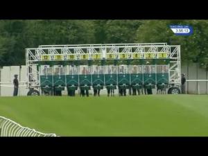 Video preview image for Thirsk 15:55 - Ladies' Day At Thirskraces Saturday 9th September Handicap