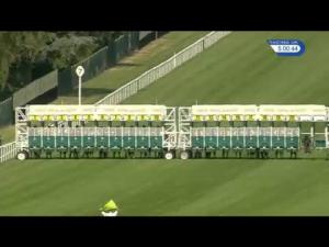 Video preview image for Ascot 17:00 - Ascot Stakes (Handicap)