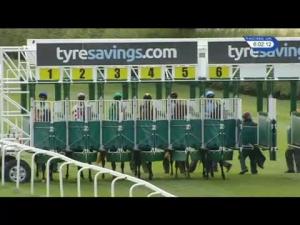 Video preview image for Beverley 18:00 - Horse Comes First Novice Median Auction Stakes