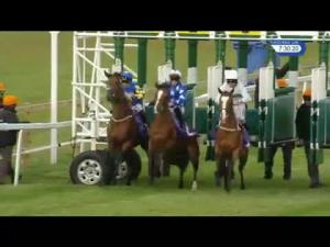 Video preview image for Beverley 19:30 - Morco Products 225th Anniversary Fillies' Handicap