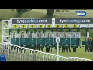 Video preview image for Beverley 20:00 - Kathy Gillett Memorial Handicap