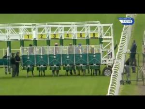 Video preview image for Hamilton Park 14:10 - racinguk.com Novice Auction Stakes (Plus 10)