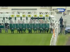 Video preview image for Hamilton Park 14:45 - British Stallion Studs EBF Maiden Stakes (Plus 10)