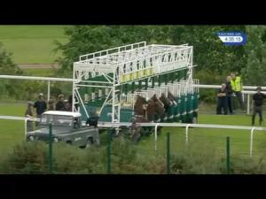 Video preview image for Hamilton Park 16:35 - Bothwell Castle Handicap