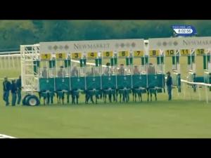 Video preview image for Newmarket 20:00 - Fly London Southend Airport To Budapest Fillies' Handicap