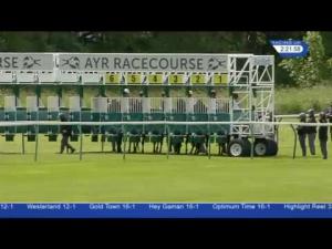 Video preview image for Ayr 14:20 - Sunsport Handicap
