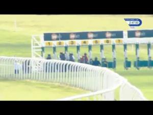 Video preview image for Newmarket 14:45 - Extra Place Races At 188Bet Handicap