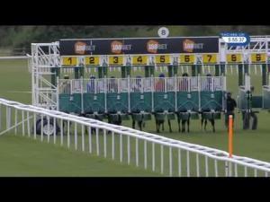 Video preview image for Newmarket 17:55 - Live Casino At 188Bet Handicap