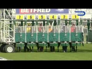 Video preview image for Haydock Park 18:30 - Betfred 'Double Delight' EBF Fillies' Handicap