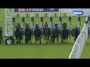 Video preview image for Haydock Park 19:35 - Betfred 'Watch Sky Sports In Our Shops' Novice Stakes (Plus 10)