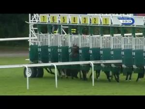 Video preview image for Haydock Park 20:05 - Betfred 'Hat Trick Heaven' Handicap