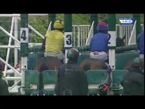 Video preview image for Leicester 18:40 - British Stallion Studs EBF Novice Stakes (Plus 10)