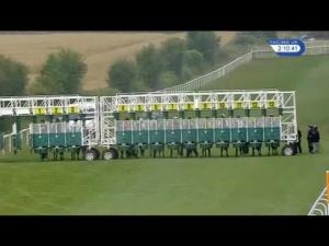 Video preview image for Salisbury 14:10 - Whitsbury Manor Stud ebfstallions.com Blagrave Maiden Stakes (Plus 10)