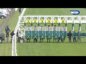 Video preview image for Salisbury 15:40 - Whitsbury Manor Stud Bibury Cup Handicap