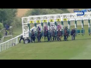 Video preview image for Salisbury 16:40 - Molson Coors Handicap