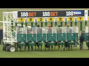 Video preview image for Newmarket 14:10 - British & Irish Lions Betting At 188Bet Novice Stakes (Plus 10)