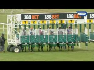 Video preview image for Newmarket 15:15 - 188Bet Handicap