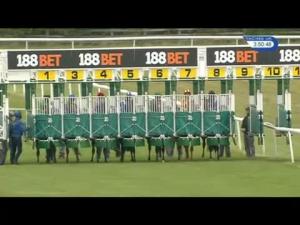 Video preview image for Newmarket 15:50 - 188bet.co.uk Maiden Stakes