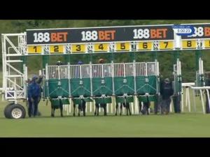 Video preview image for Newmarket 17:00 - Daily Racing Specials At 188Bet Handicap