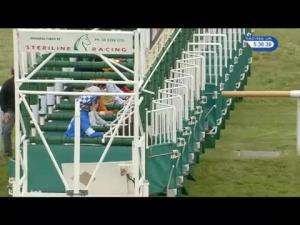 Video preview image for Newmarket 17:35 - Free Spins At 188Bet Casino Handicap