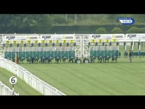 Video preview image for Newbury 17:50 - Pump Technology Handicap (Str)