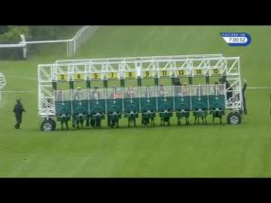 Video preview image for Hamilton Park 19:00 - Exsel Group Selling Handicap