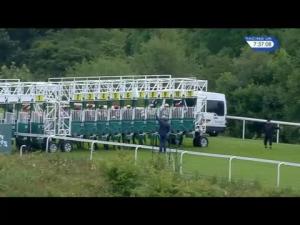 Video preview image for Hamilton Park 19:35 - Thistle Bloodstock Maiden Stakes