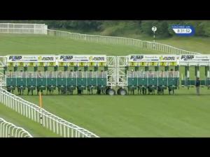 Video preview image for Newbury 20:30 - Lee San Marine Sanitation Handicap