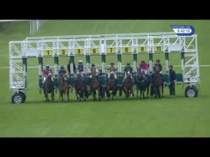 Video preview image for Hamilton Park 20:40 - Patersons Of Greenoakhill Handicap