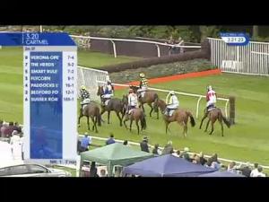 Video preview image for Cartmel 15:20 - Brown Horse At Winster Beginners' Chase