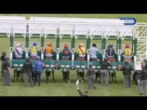 Video preview image for Newmarket 17:50 - Fly London Southend Airport To Perpignan Handicap