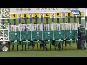 Video preview image for Newmarket 18:20 - Fly London Southend Airport To Milan EBF Fillies' Novice Stakes (Plus 10)