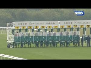Video preview image for Newmarket 18:50 - Fly London Southend Airport To Lyon Handicap